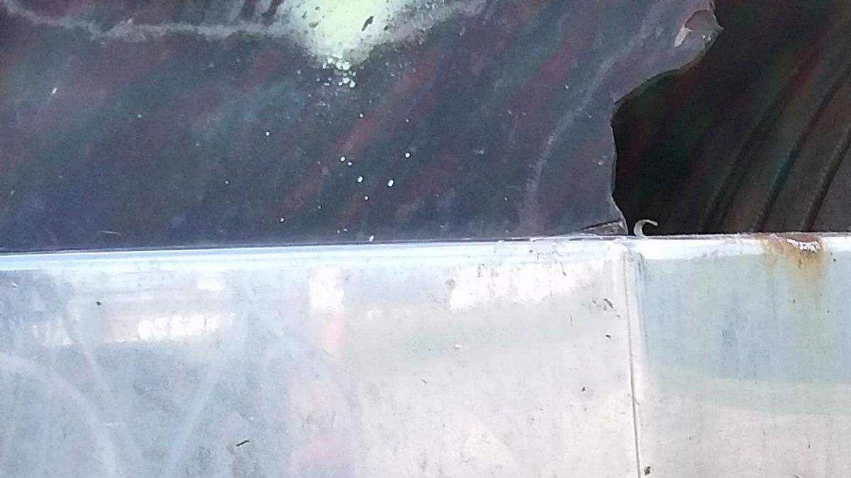 Most of the spikes you see sticking out of the lug nuts on semis are actually plastic, but because they extend beyond the truck body, they probably could be considered a violation of the law in Washington.
