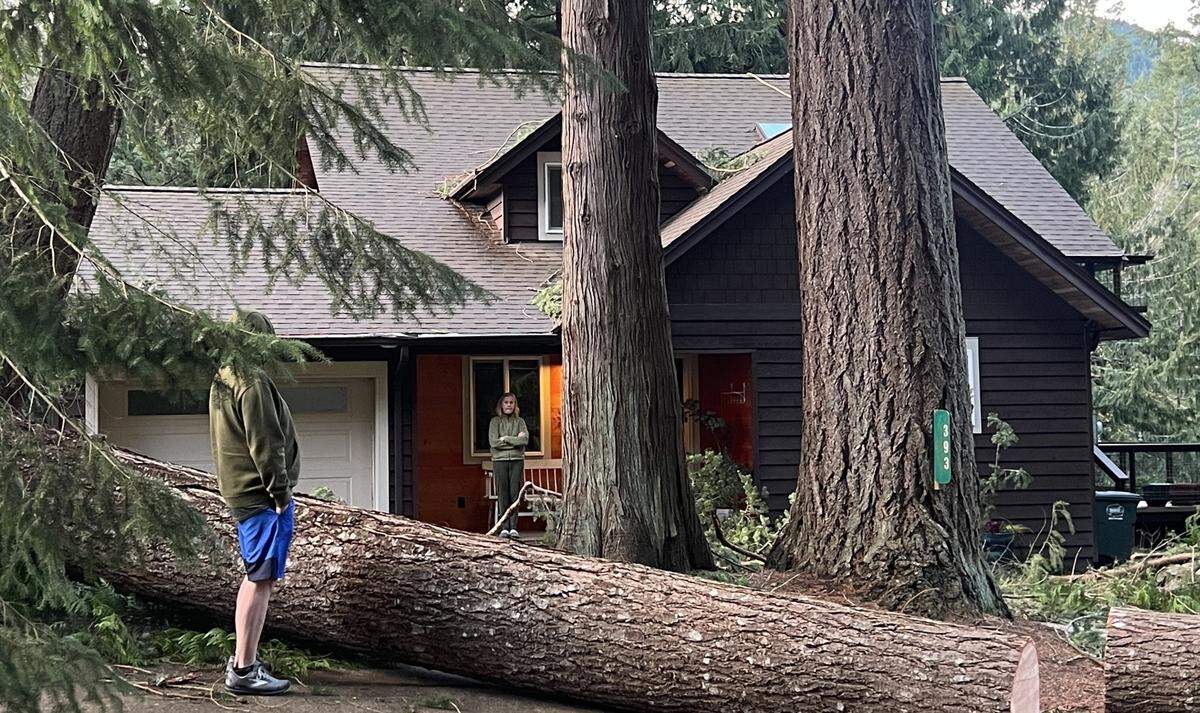 Neighbors on Sudden Valley Drive discuss the windstorm that devastated their community on Wednesday, Nov. 20 east of Bellingham, Wash.