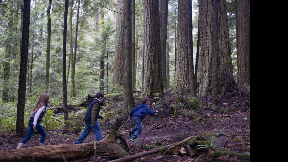 Out With Kids: Wild Whatcom leads hikes at Stimpson reserve this month