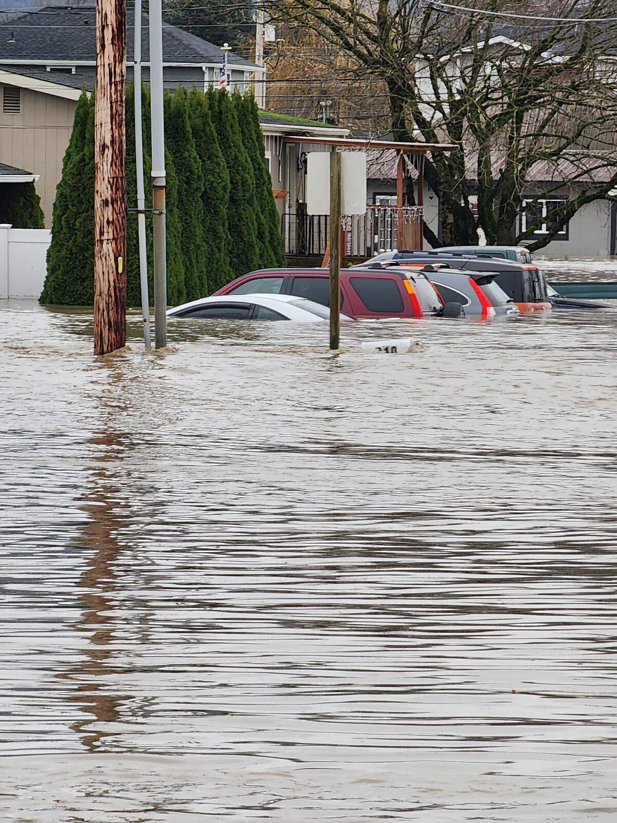 Flood water reaches the windows of parked cars in Sumas, Wash. on Dec. 11, 2025.