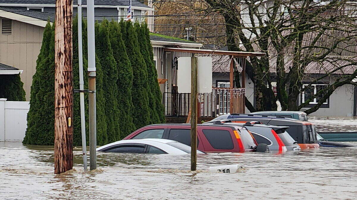 Bellingham WA weather: Rain in forecast, prepare for floods ...