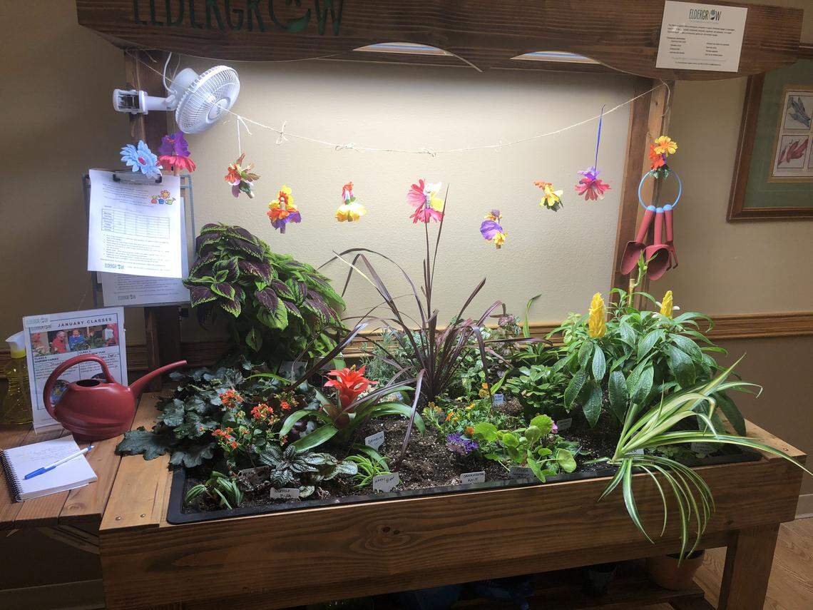 Mt. Baker Care Center, a Bellingham senior-living facility, partnered with Eldergrow of Seattle for an indoor garden designed to take advantage of the therapeutic benefits of horticulture.