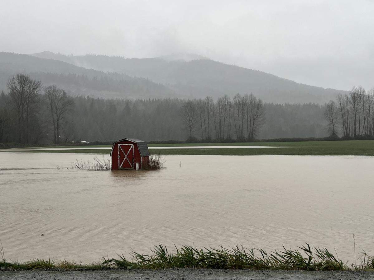 A shed in a field off Siper Road south of Everson was surrounded by water on Dec. 10, 2025, as flooding threatened low-lying areas of Whatcom County.