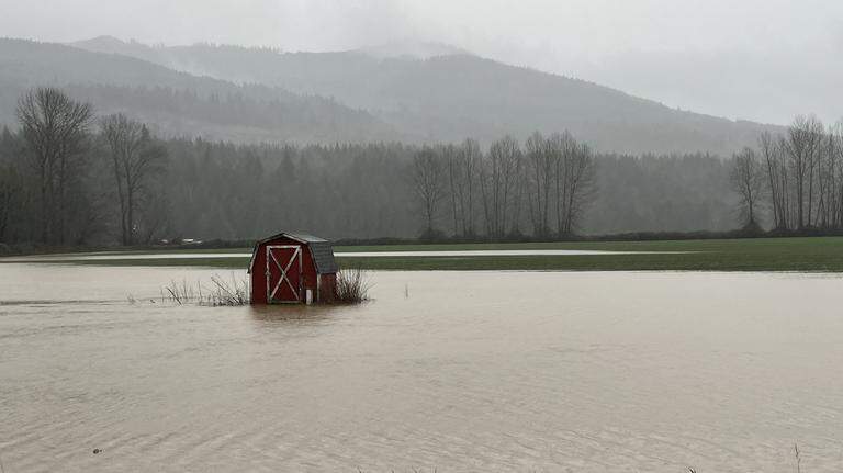 Whatcom County bought out homes in the flood zone. Now they want them moved