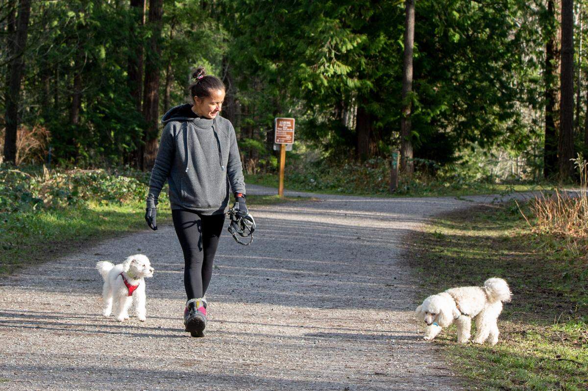 Betty Beieler walks her dogs in the off-leash area at Whatcom Falls Park on Tuesday, Feb. 1, in Bellingham. After complaints about off-leash dogs elsewhere, Bellingham is expanding its park ambassador program and looking at toughening its definition of having a dog “under control.” Whatcom Falls Park is one of fewer than a dozen legal public spaces for off-leash dogs.
