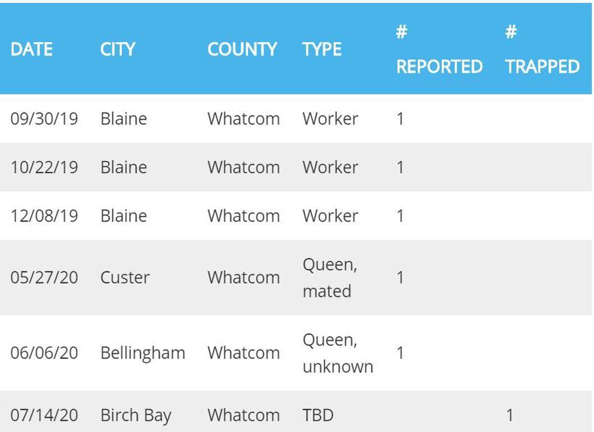 This chart shows how many Asian giant hornet specimens have been reported in Whatcom County since 2019, and where they were found.