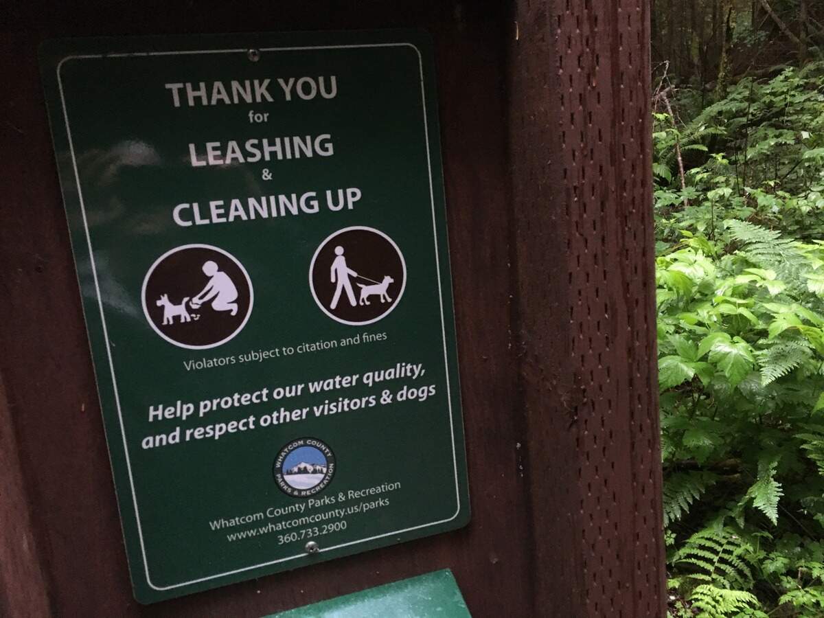 A sign at Lookout Mountain Forest Preserve near Sudden Valley offers information about dogs in the park. The park is open to leashed dogs, horses, hikers and bikers. Bags and a trash can are provided for dog waste in the park, where creeks drain into Lake Whatcom.
