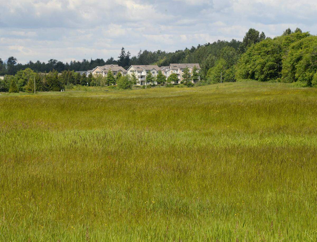 A $6.2 million project to build the first part of Cordata Park is set to begin in May 2019. The park is 25 acres on the east side of Cordata Parkway between Stuart and Horton roads in Bellingham, Wash.