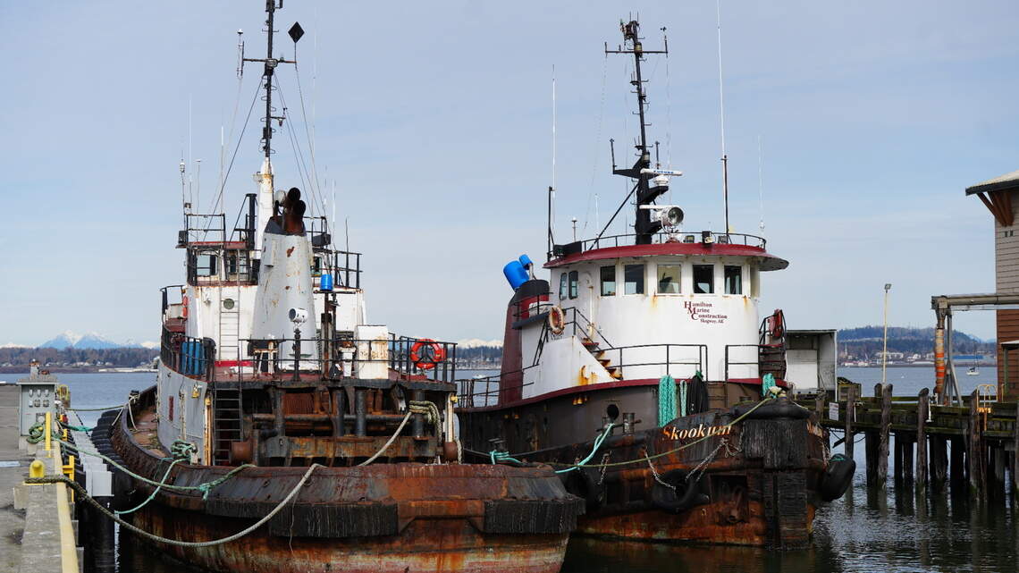 Cleanup efforts at this Bellingham toxic site make way for new marine activity