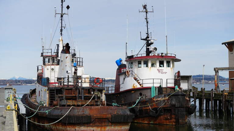 Cleanup efforts at this Bellingham toxic site make way for new marine activity