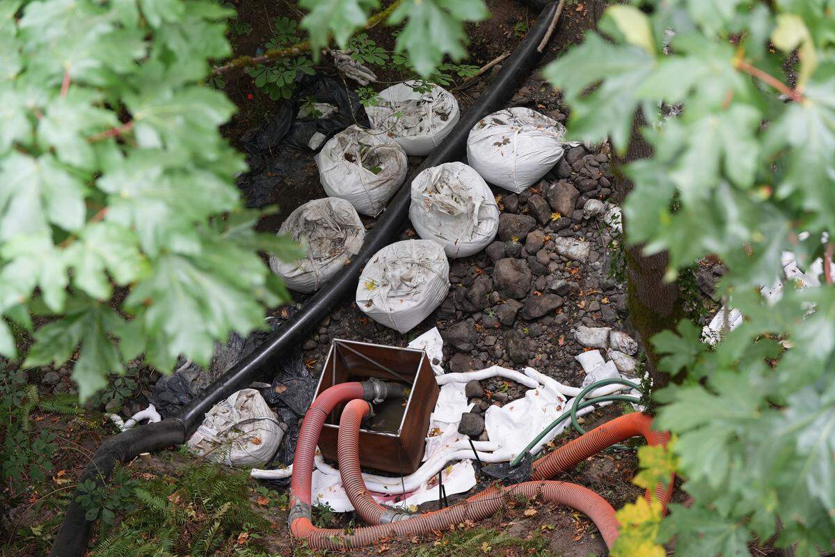 Absorbent pads can be seen along Padden Creek from the 12th Street bridge crossing on Aug. 14.
