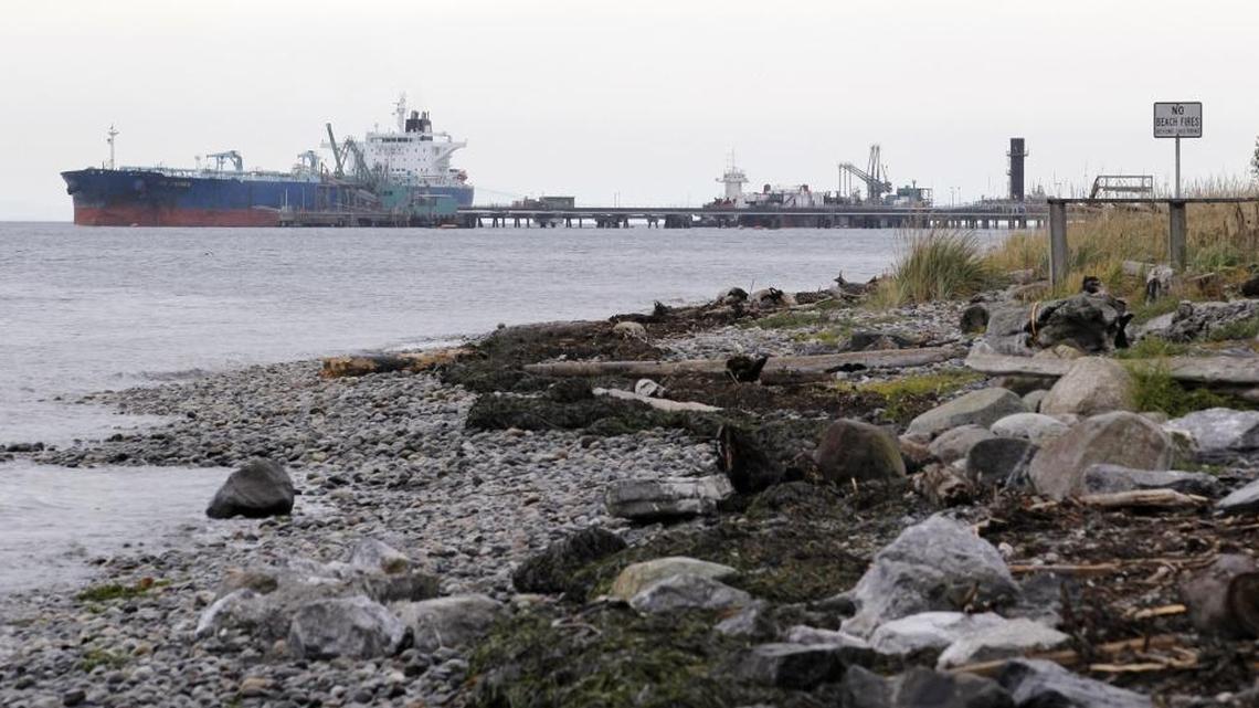 In this photo taken Oct. 23, 2012, a ship is seen in the distance moored at the BP oil refinery in the Strait of Georgia just beyond the location of a proposed coal exporting terminal in Ferndale.