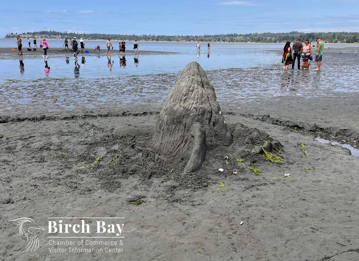 A whale sand sculpture from the 40th Annual Birch Bay Sand Sculpture Competition in 2023 in Birch Bay, Wash.