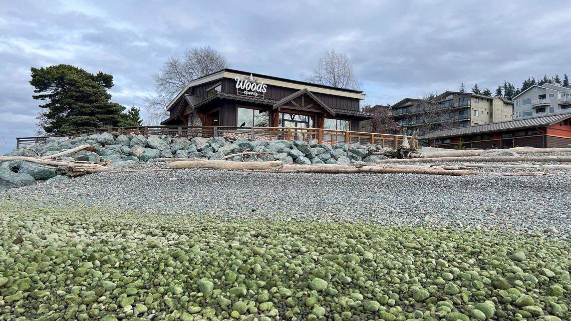 Visitors will have full access to Bellingham’s newest beach starting this week