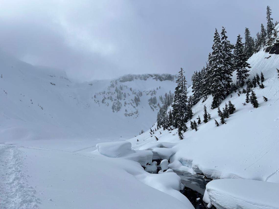 A snow-covered creek flows into the Bagley Lakes Basin near the Mt. Baker Ski Area.