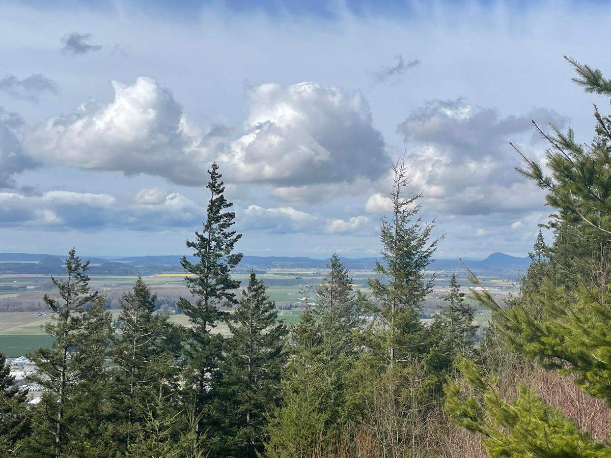 The view of Skagit Valley from Little Mountain on Wednesday, April 5, at 3000 Little Mountain Road in Mount Vernon.