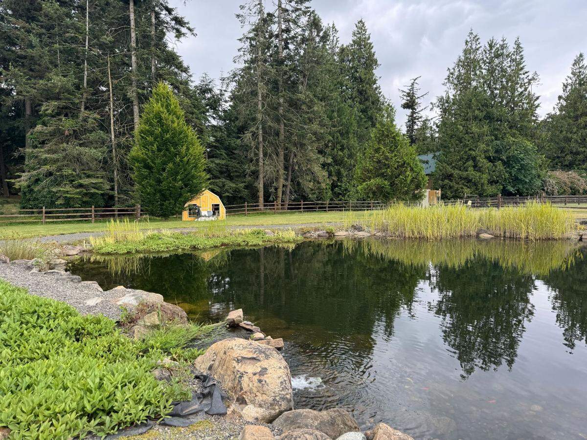 The pond at Appel Farms on Wednesday, June 26, 2024 at 6605 Northwest Dr. in Ferndale, Wash.
