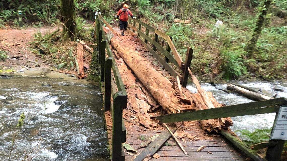 More wind and rain on the way for Whatcom — when might it all end