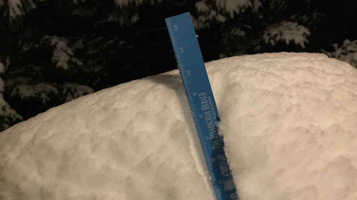 If you want to see just how much snow has fallen in your own backyard, the National Weather Service has tips for measuring accurately.