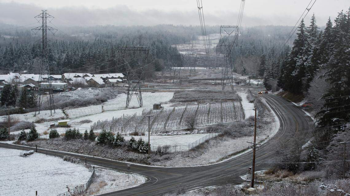 Snow is in Bellingham’s forecast this week, but how much should Whatcom lowlands expect?