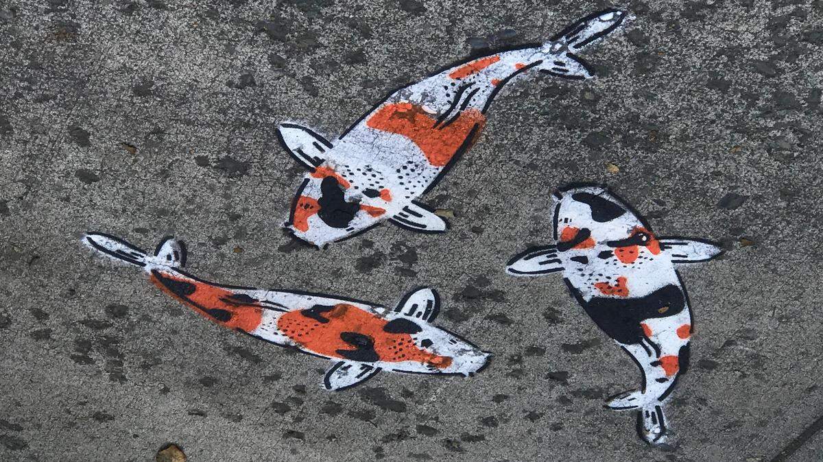 Three painted koi swim in a circle on the sidewalk in front of the Vintage 360 antique shop on Holly Street in downtown Bellingham. Store owner Geroge Trummeter discovered the fish Thursday morning.