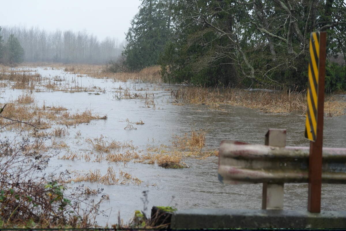 Silver Creek runs high under a bridge on Shady Lane off Rural Avenue in Marietta-Alderwood on December 10, 2025, near Bellingham, Wash.