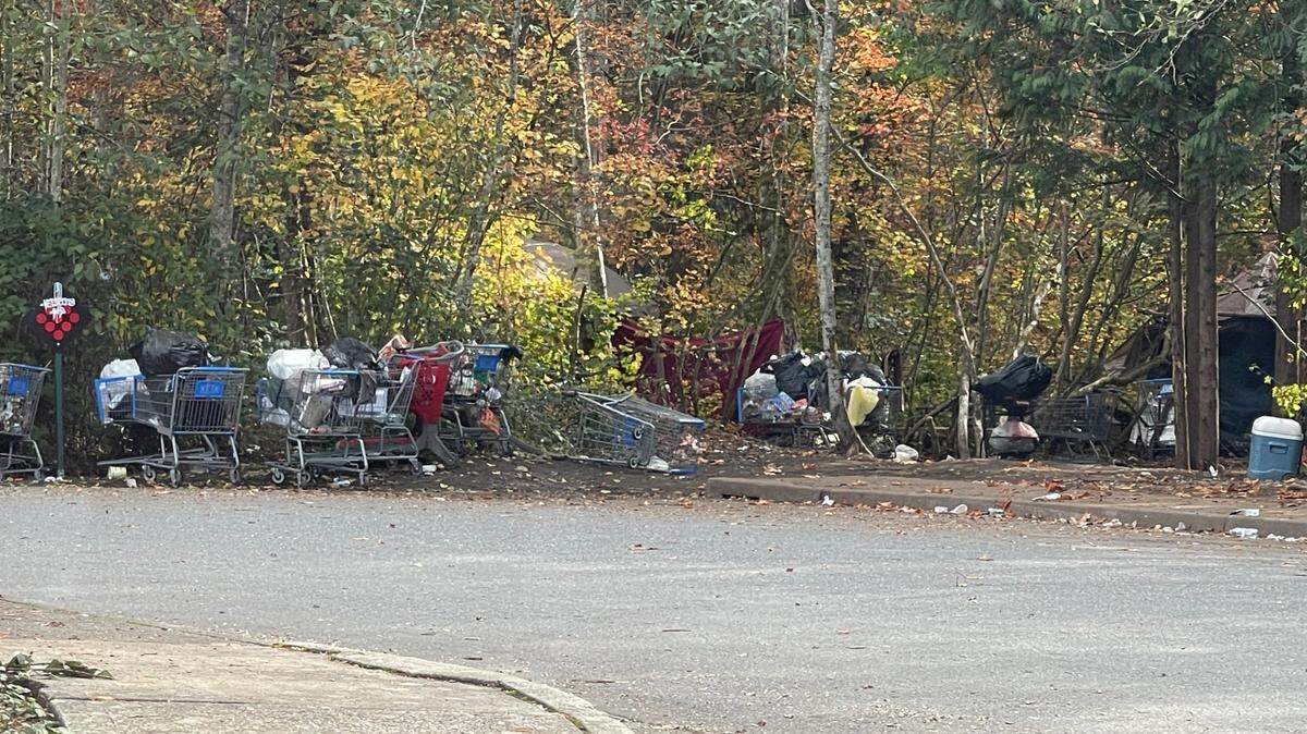 Shopping carts and tents are seen at the entrance to the homeless encampment behind Walmart on Oct. 8, 2023, in Bellingham, Wash. The encampment is located in a large, heavily wooded area.