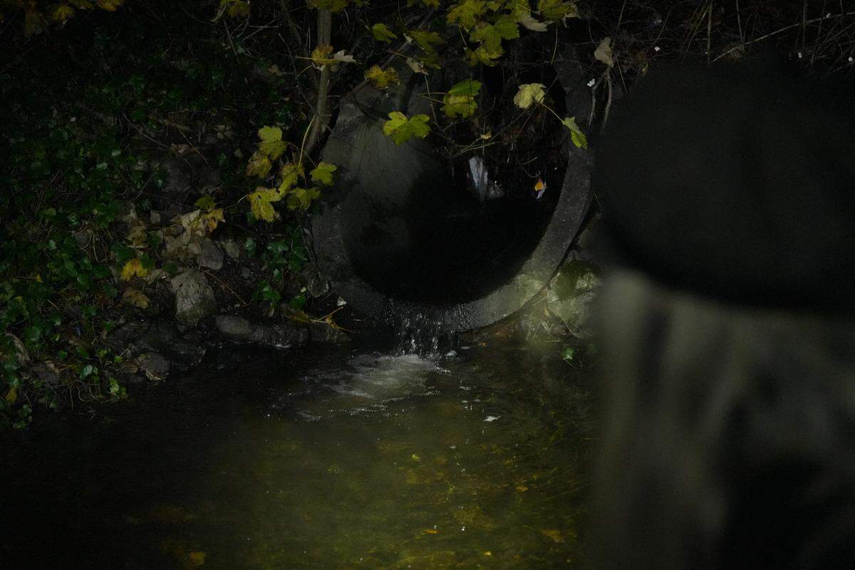 Water flows through a stormwater outfall pipe into Little Squalicum Creek.