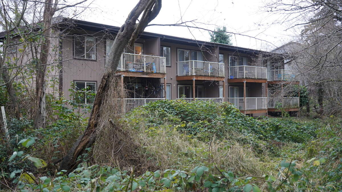 Taylor Creek Park Apartments in Bellingham back up to a wetland area and public walking path that leads to Western Washington University. The building will be remodeled and additional units build on the east side.