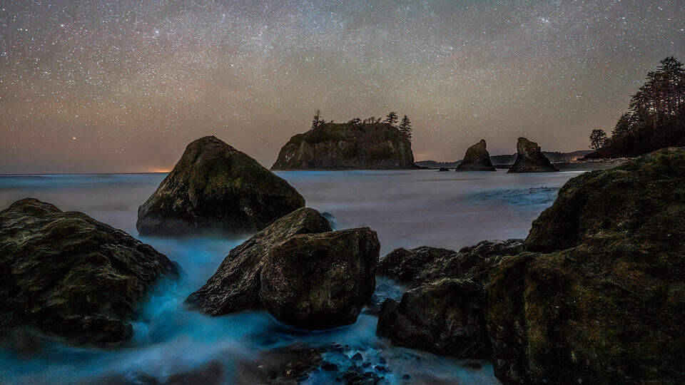 Ruby Spring Bellinghan The best times, spots to see bioluminescence near Bellingham ...