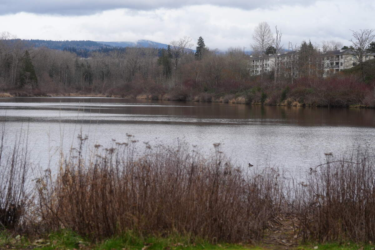 Multifamily housing looks out over Sunset Pond. Visitors were able to loop the pond for the first time in February after a new 1.2-mile trail and bridge system opened.