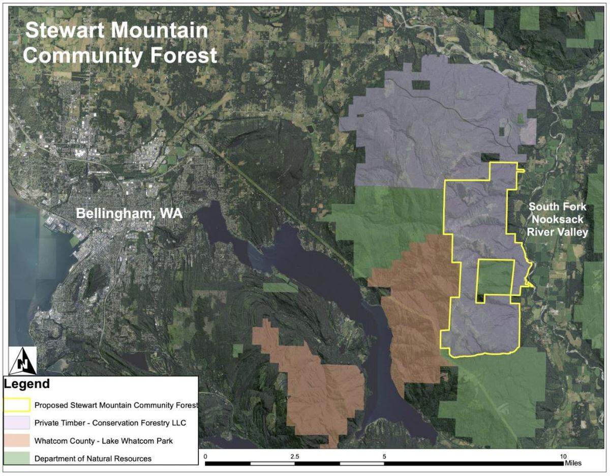 A 550-acre purchase made by the Whatcom Land Trust on Nov. 4, 2022, was the first step in buying 5,500 acres for the Stewart Mountain Community Forest.