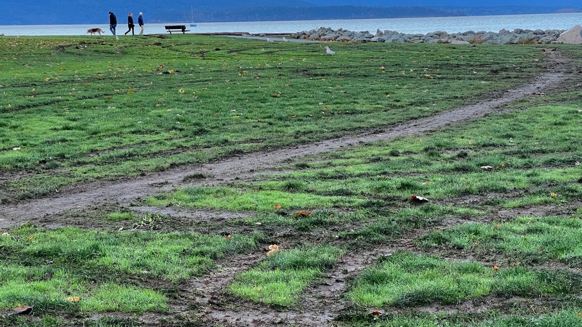 Bellingham park suffers weekend vandalism