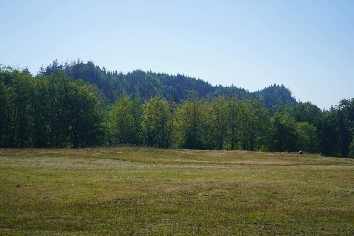 The forested hills on the site of the proposed Ranch Quarry Mine in Whatcom County can be seen from a viewpoint on a neighbor’s property on Frost Road. The project proposes the removal of about 13.7 million cubic yards of material.