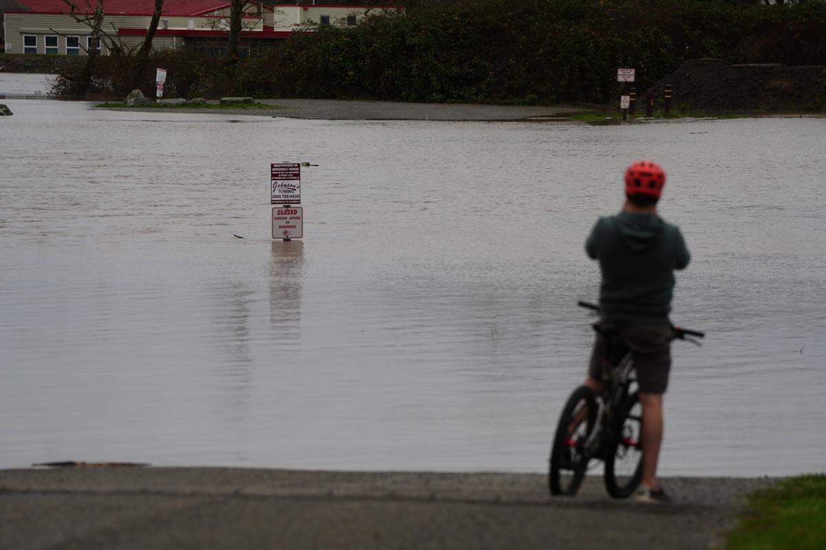 A cyclist takes photos of the flooding north of Hovander Park along the Nooksack River on December 11, 2025, in Ferndale, Wash.