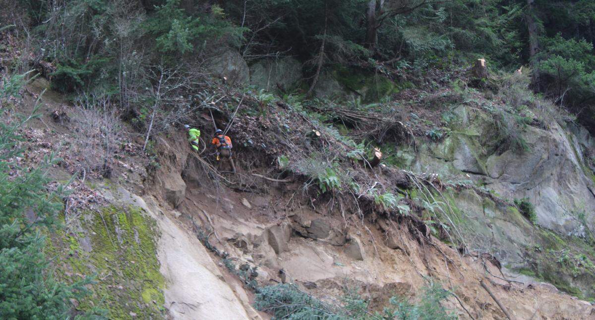 Workers clear out trees and other debris from the Interstate 5 landslide that occurred March 19 south of Bellingham.