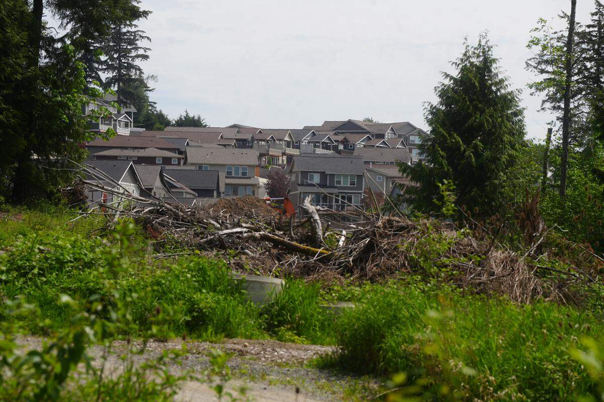 King Mountain neighborhood residents have experienced frequent property theft in recent years due to activity from the growing encampment in the nearby woods on private property.