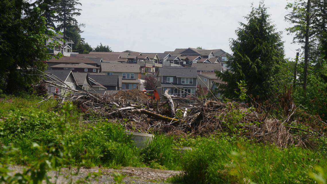 Bellingham plans summer action on King Mountain encampment. Here’s what to know