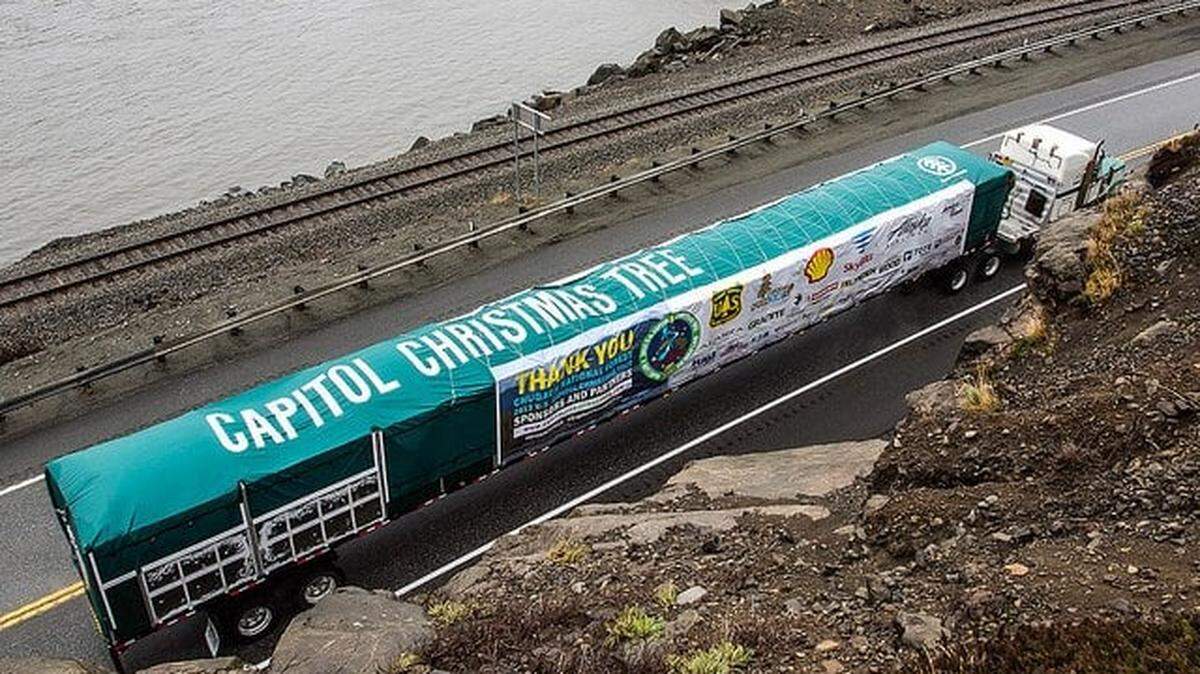 A Lynden Transport truck hauls a 74-foot Lutz spruce near Seattle in 2015.