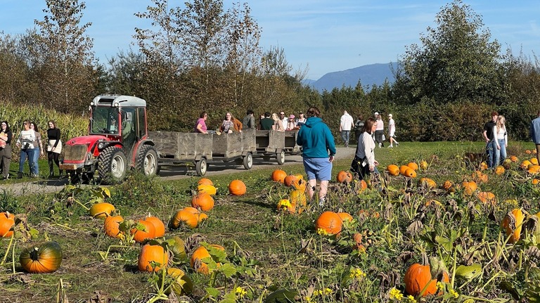 Whatcom County pumpkin patch guide: Hours, tractor rides, apple picking and more