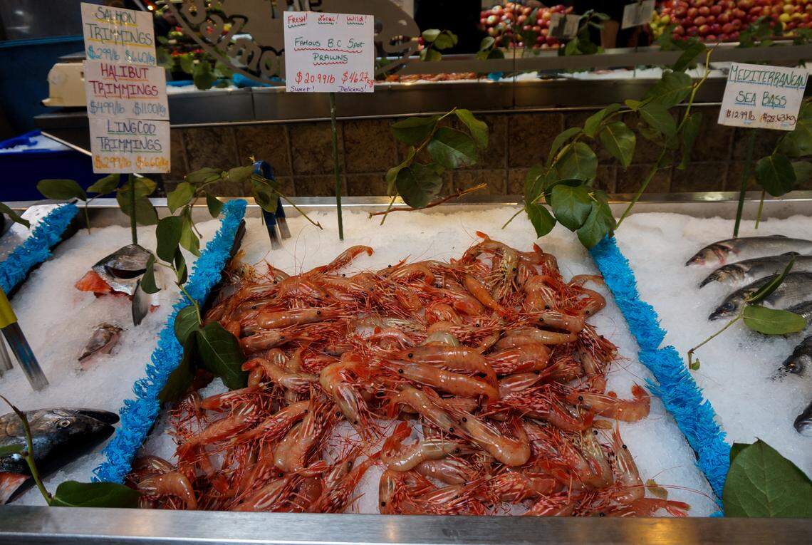 Prawns and shrimp are in season, here’s what local fish markets have the catch or how to fish for your own.