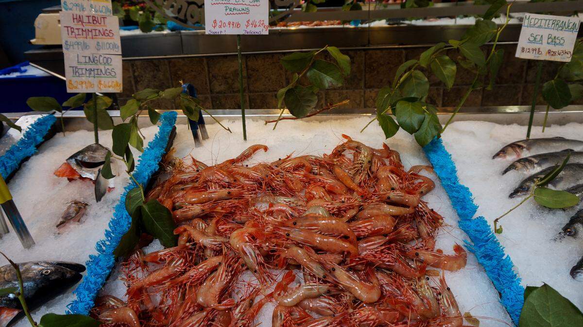 Spot prawns for sale in Vancouver, BC, 2014.