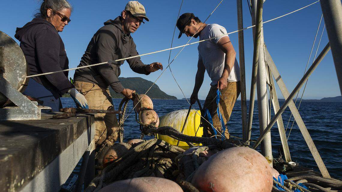 Lummi Island Wild honored by national foundation for fresh, sustainable food