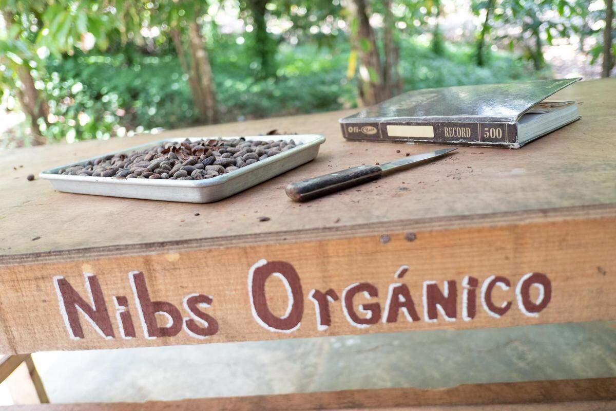 Cocao nibs that will be used to make KU’L Chocolate at the KU’L Chocolate factory in Bellingham, Wash.