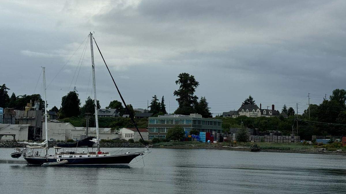 The view of Bellingham Bay from the Whatcom Museum History Sunset Cruise on July 20, 2024.