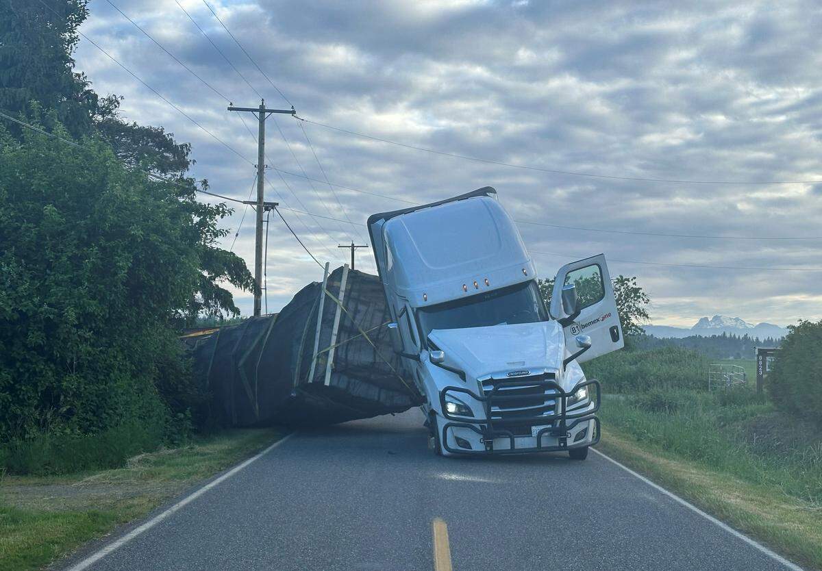 Hundreds of millions of pollinating bees escaped a commercial transport vehicle after it rolled over on May 30 in Lynden.