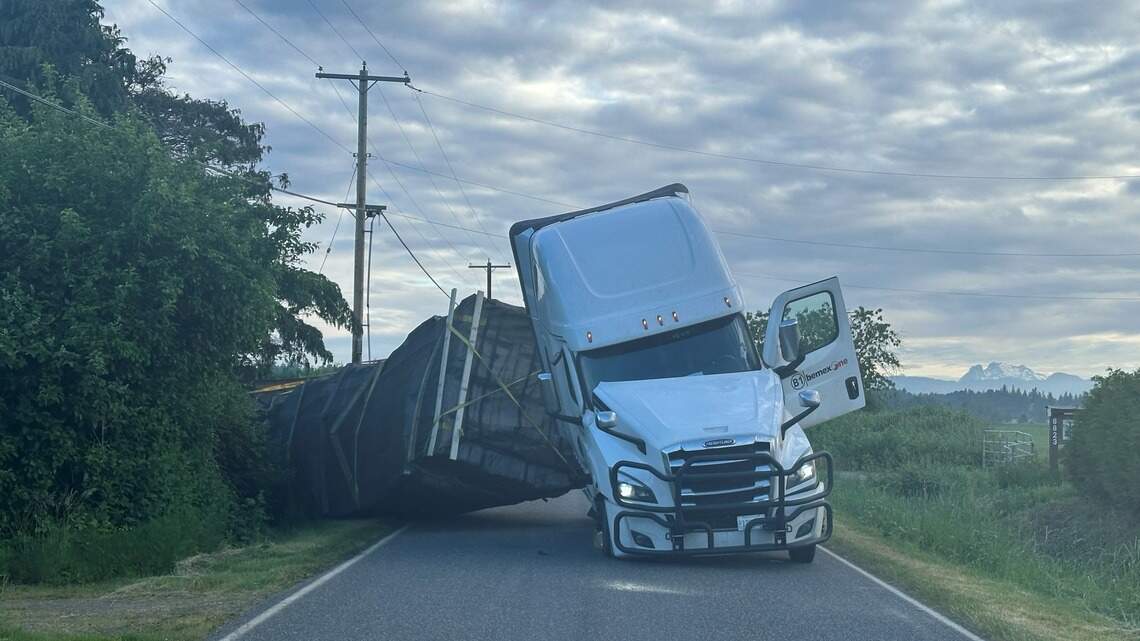 What were millions of bees doing on truck near Lynden? What to know after crash