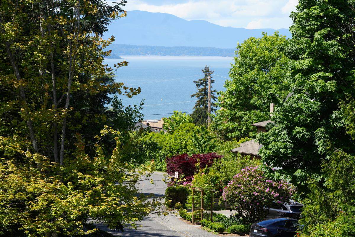 A view of Bellingham Bay and Lummi Island peaks through tall trees surrounding a residential neighborhood near Western Washington University in May.