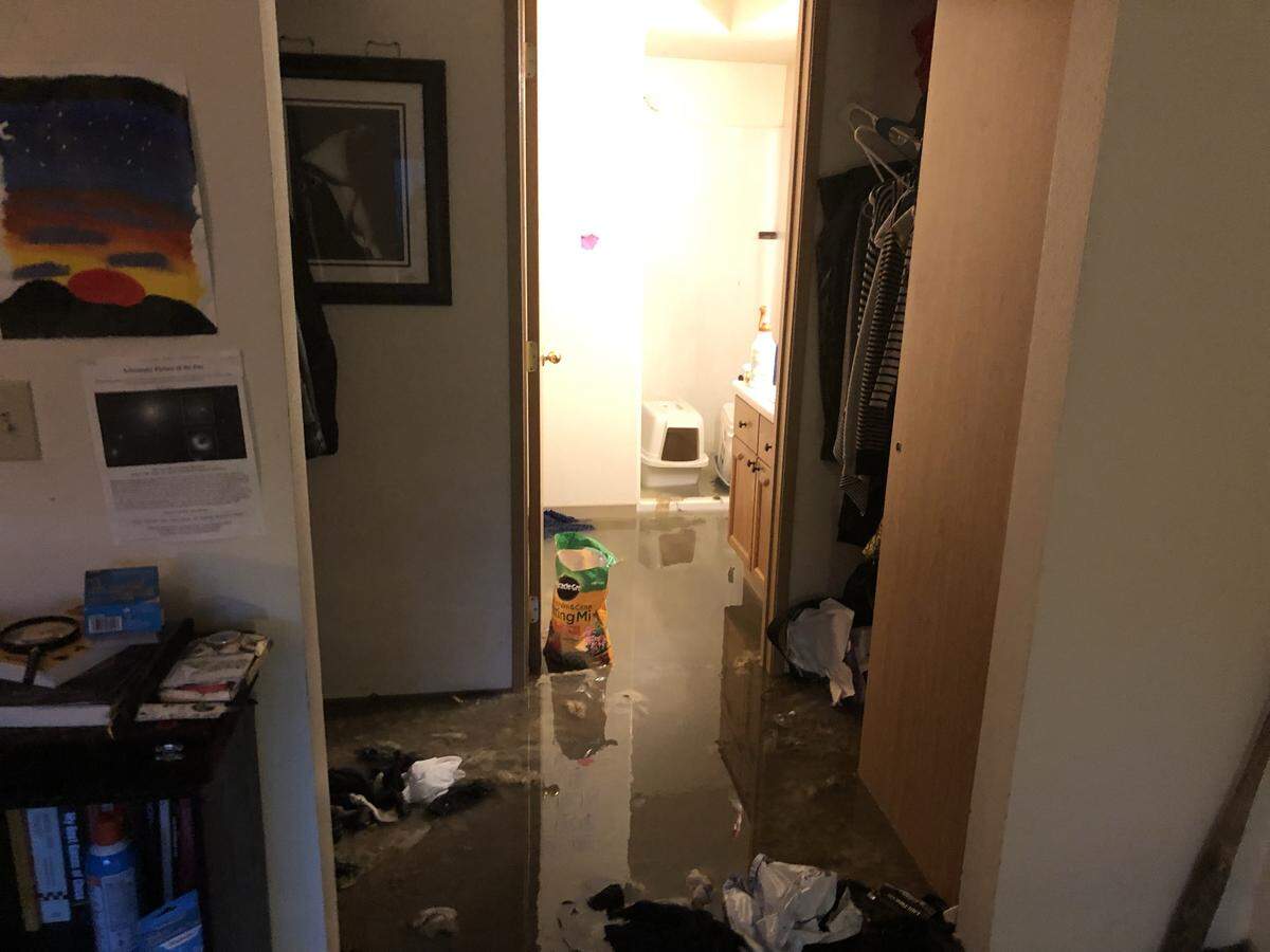 A sewer back-up Tuesday at The Meadows by Vintage apartment complex in the Cordata neighborhood of Bellingham has displaced the residents of at least six units and left them looking for help.