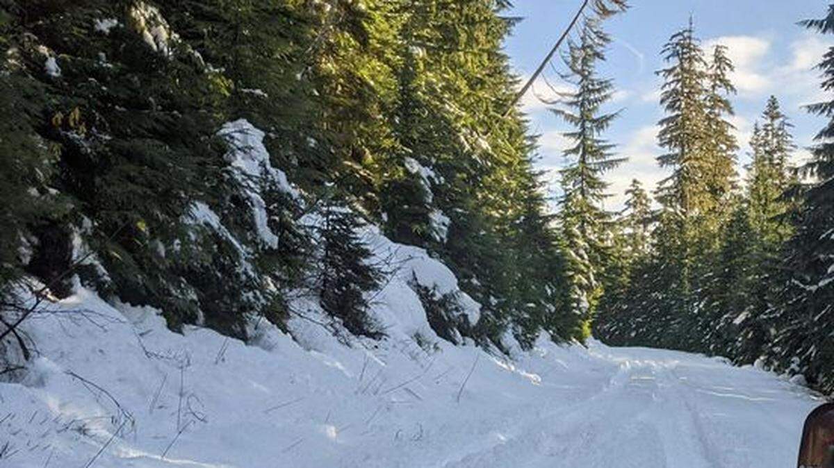 Volunteers from the Whatcom County Search and Rescue 4x4 unit successfully located a missing 21-year-old Seattle man who failed to return from a hiking and camping trip in the North Cascades National Park over the weekend.